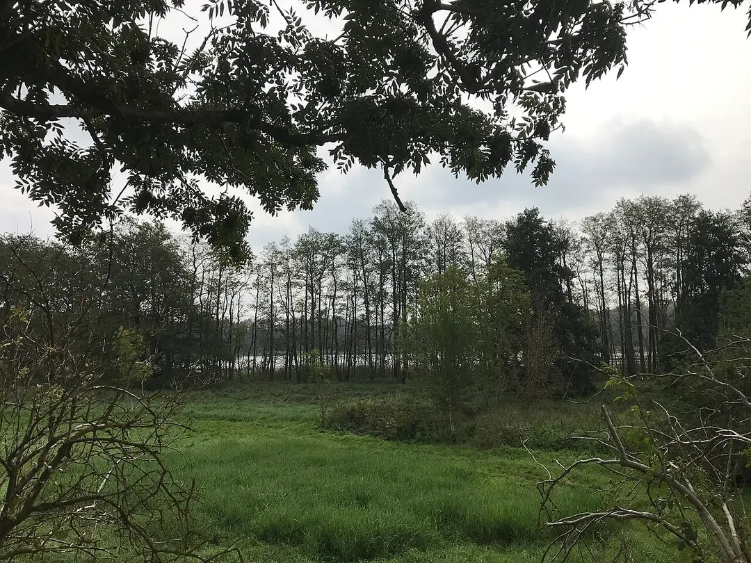 Küchensee