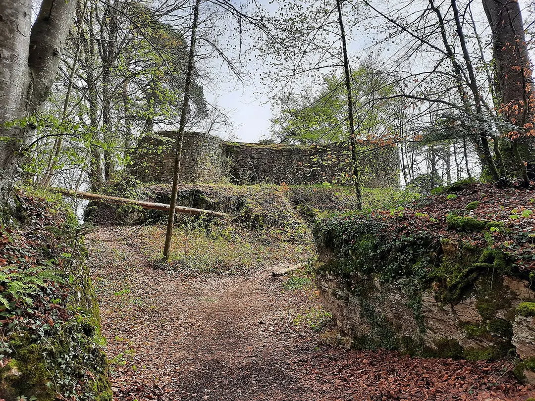 Ruine Alt-Schauenburg