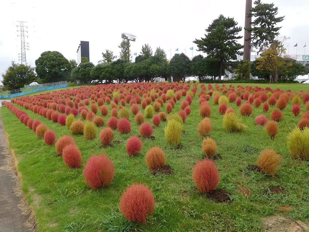 笠松運動公園