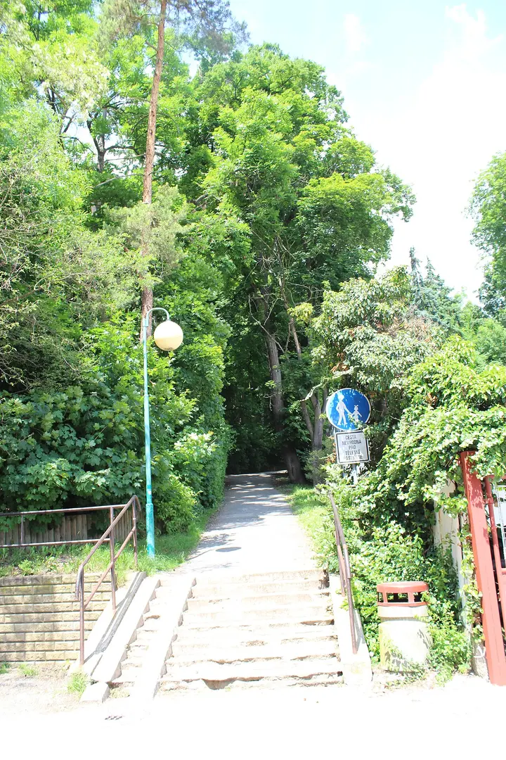 Stadtberg