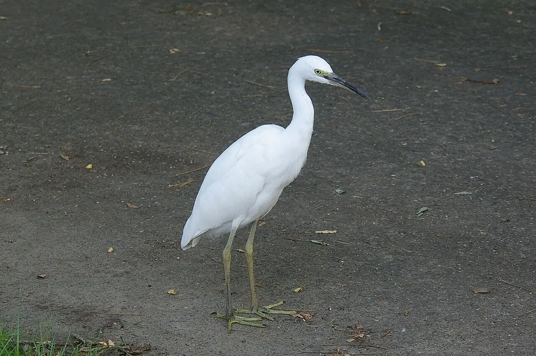 水元公園