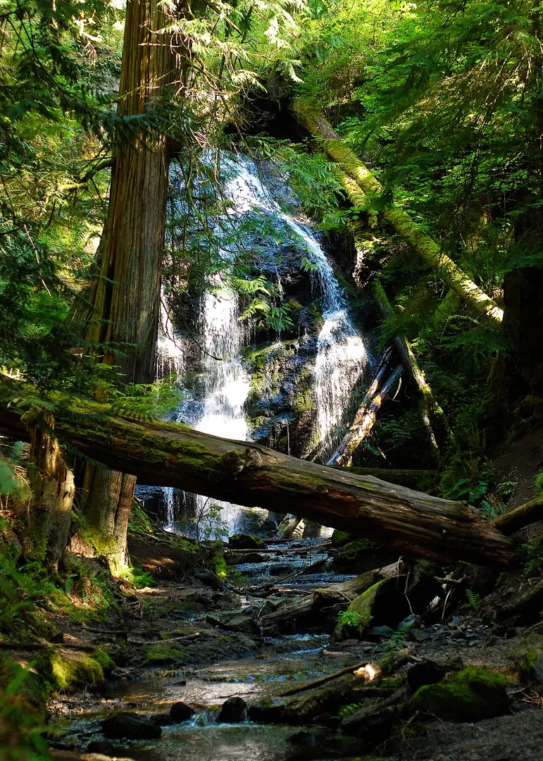 Moran State Park