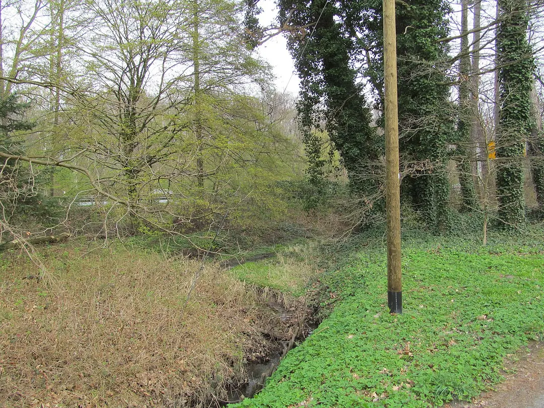 Vor der Seelhorst