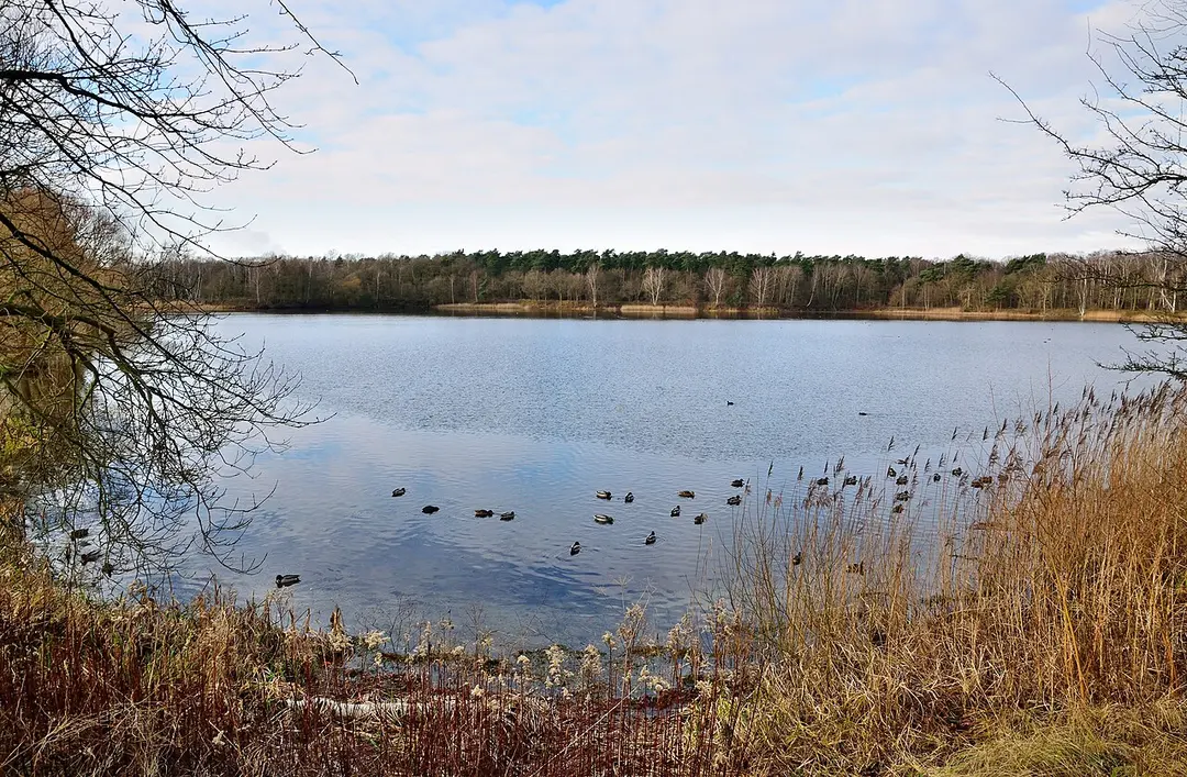 Blauer See