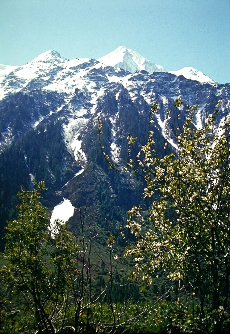 Bietschhorn