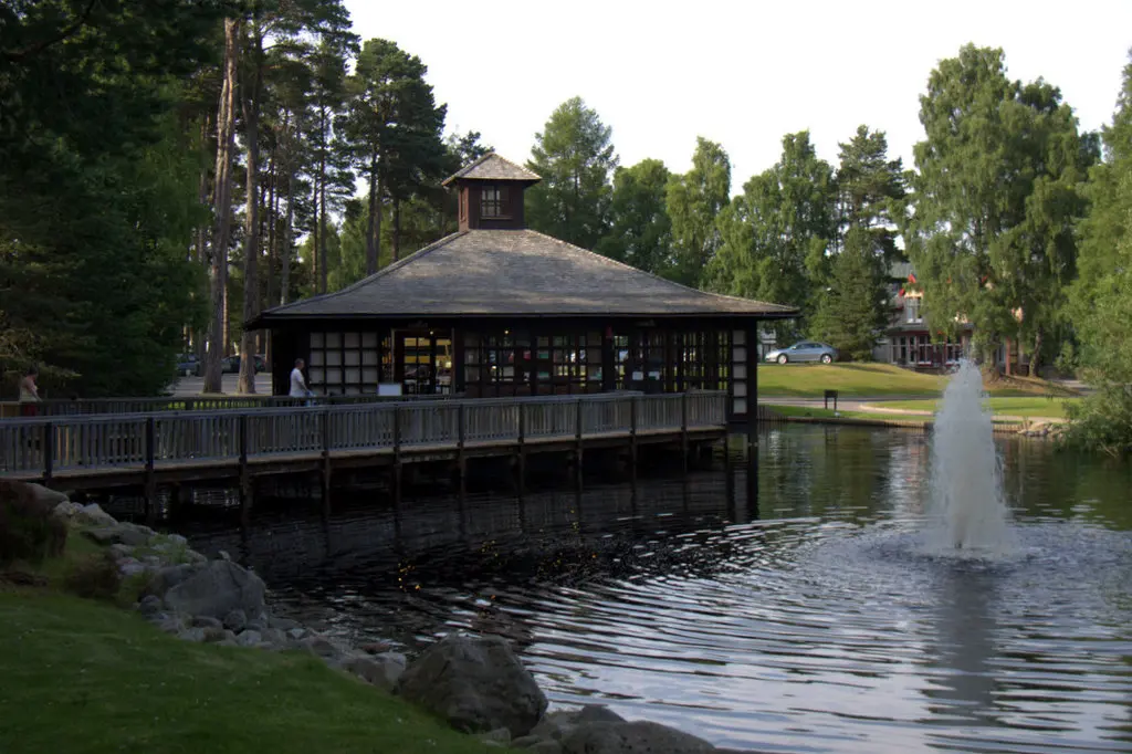 Landmark Forest Adventure Park