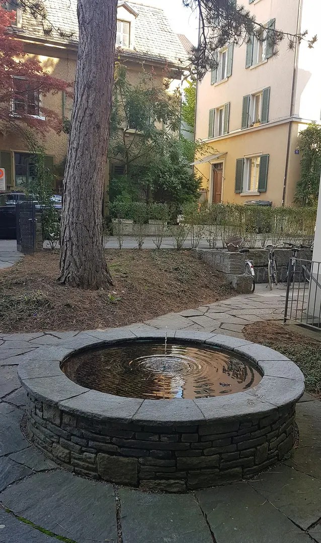 Brunnen Delphinstr. 12
