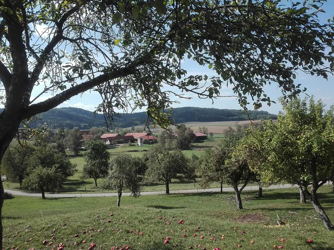 Hungerbühl-Weiherwiesen