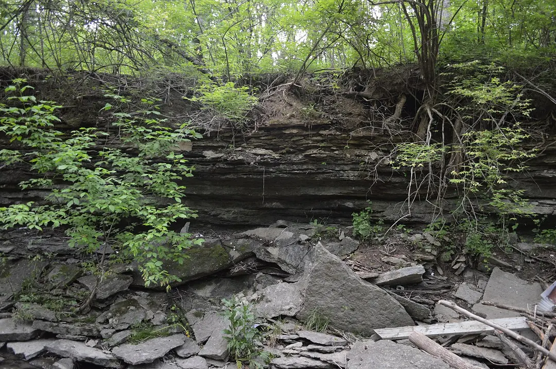 Winton Woods