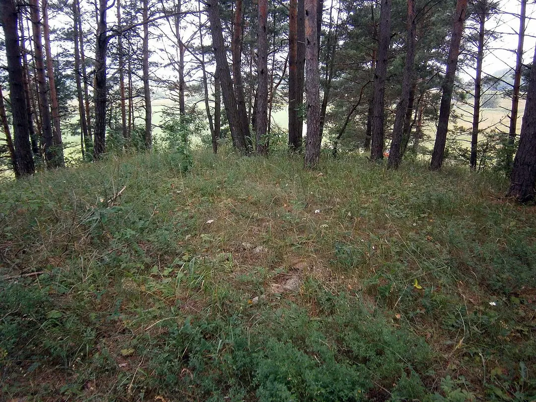 Svobiškėlio piliakalnis