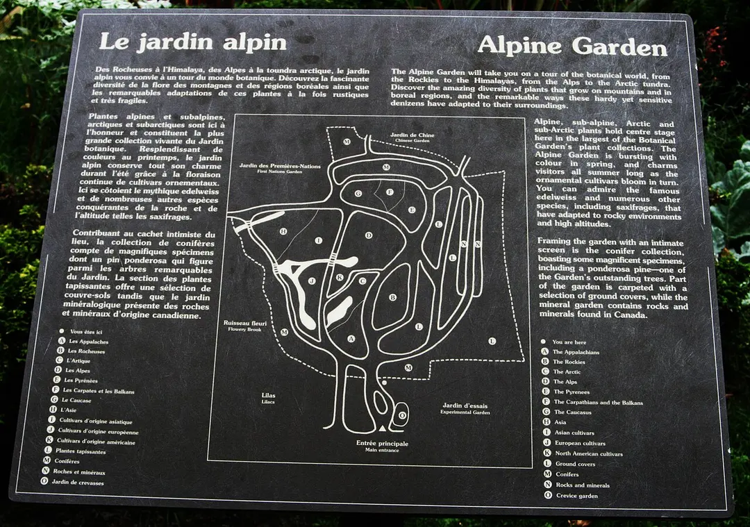 Alpine Garden