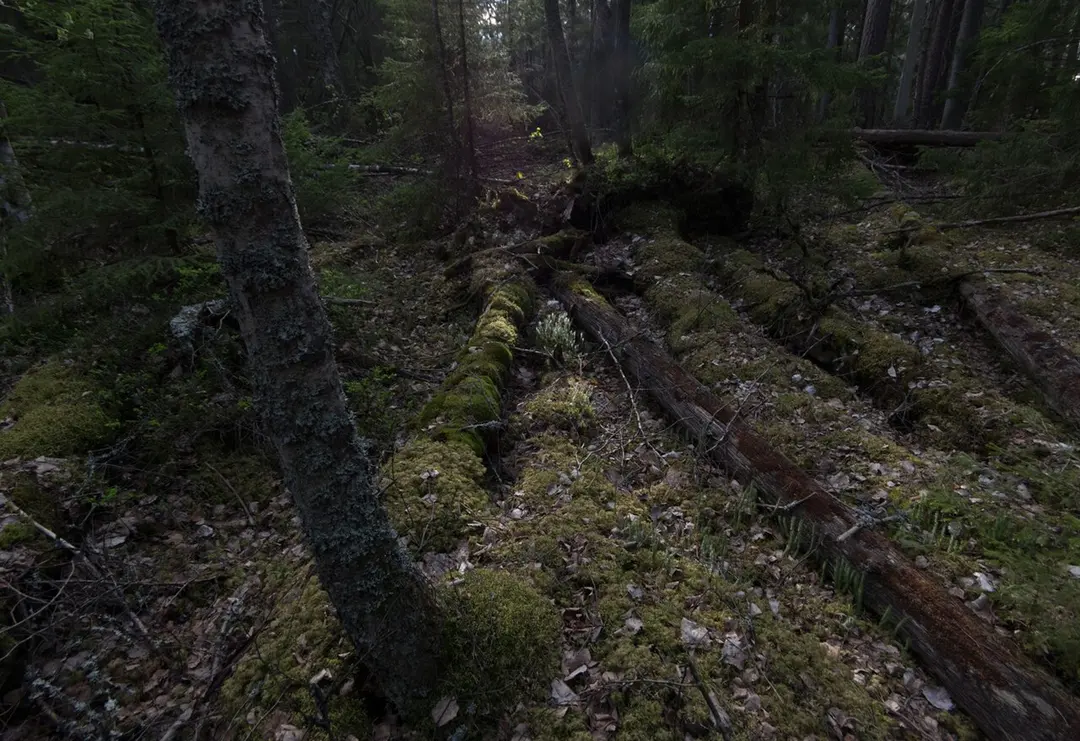 Erikslund