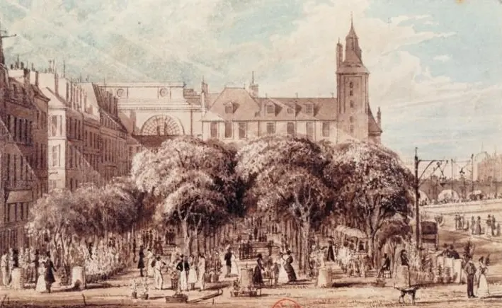 Marché aux fleurs Reine-Elizabeth-II