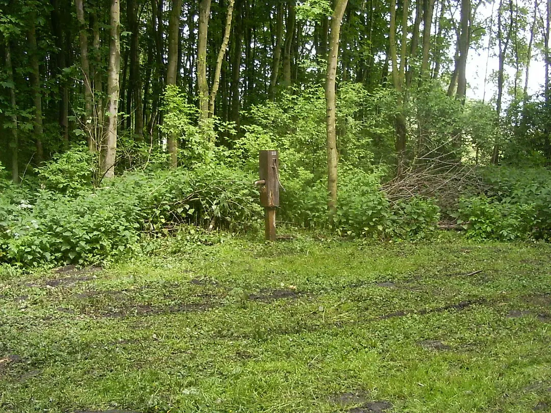 Leidschendammerhout