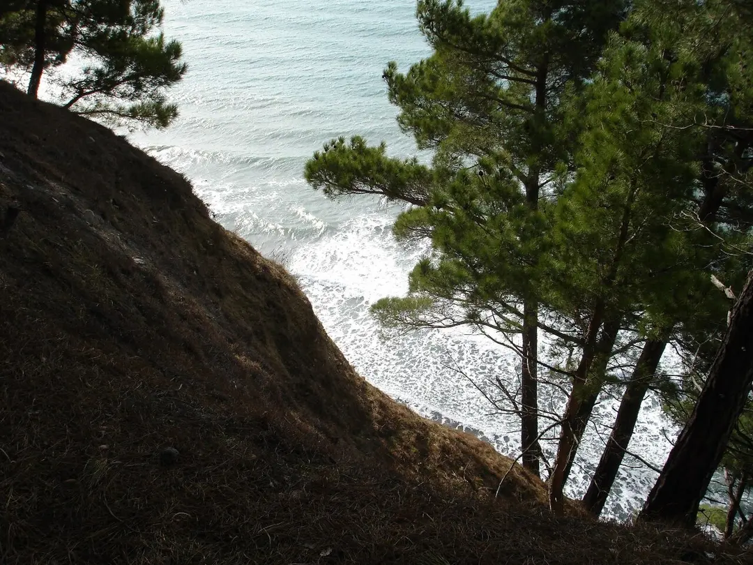 Praskoveevka