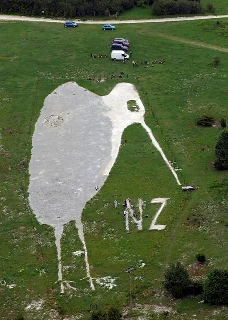 Bulford Kiwi