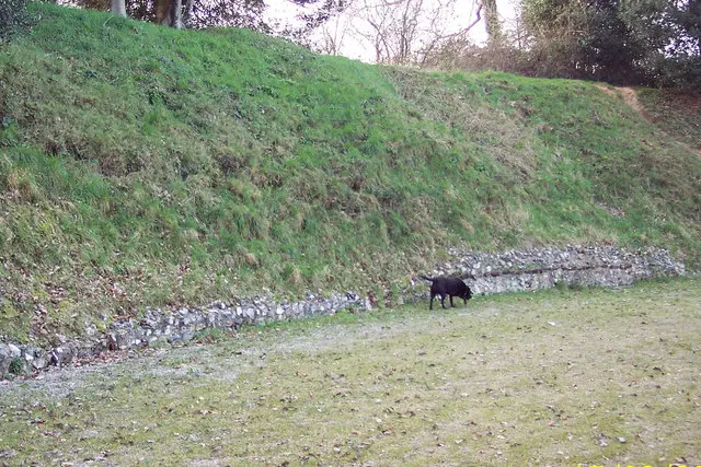 Silchester Amphitheatre
