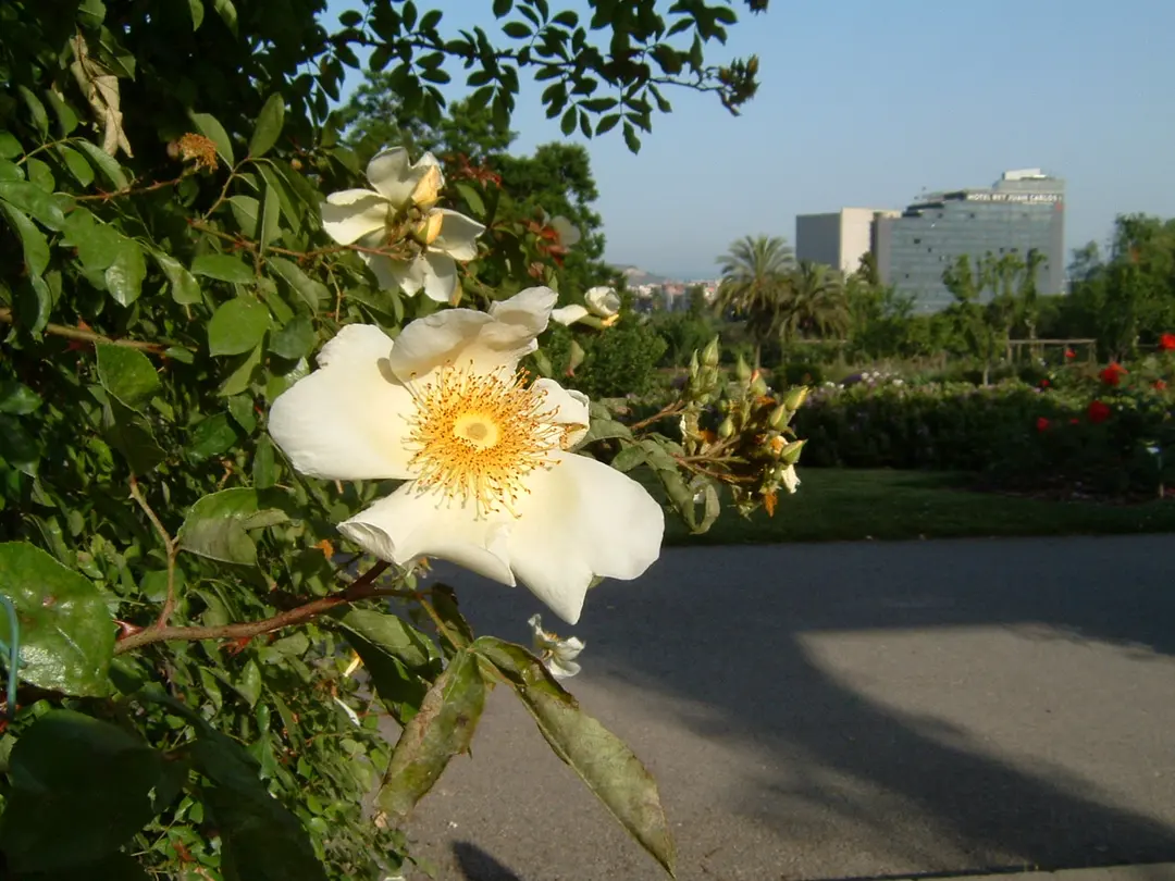 Parc de Cervantes