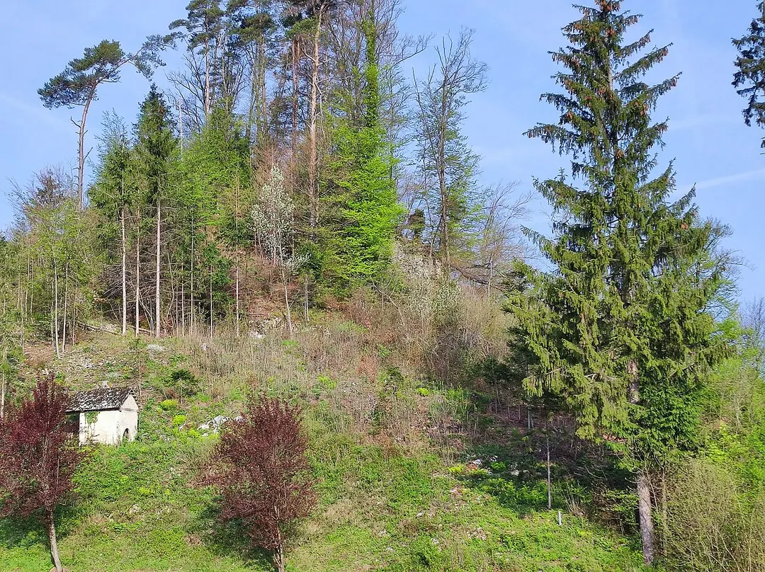 Grad Rožek (Rudolfseck)