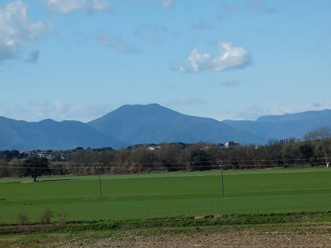 Puig de Sant Gregori