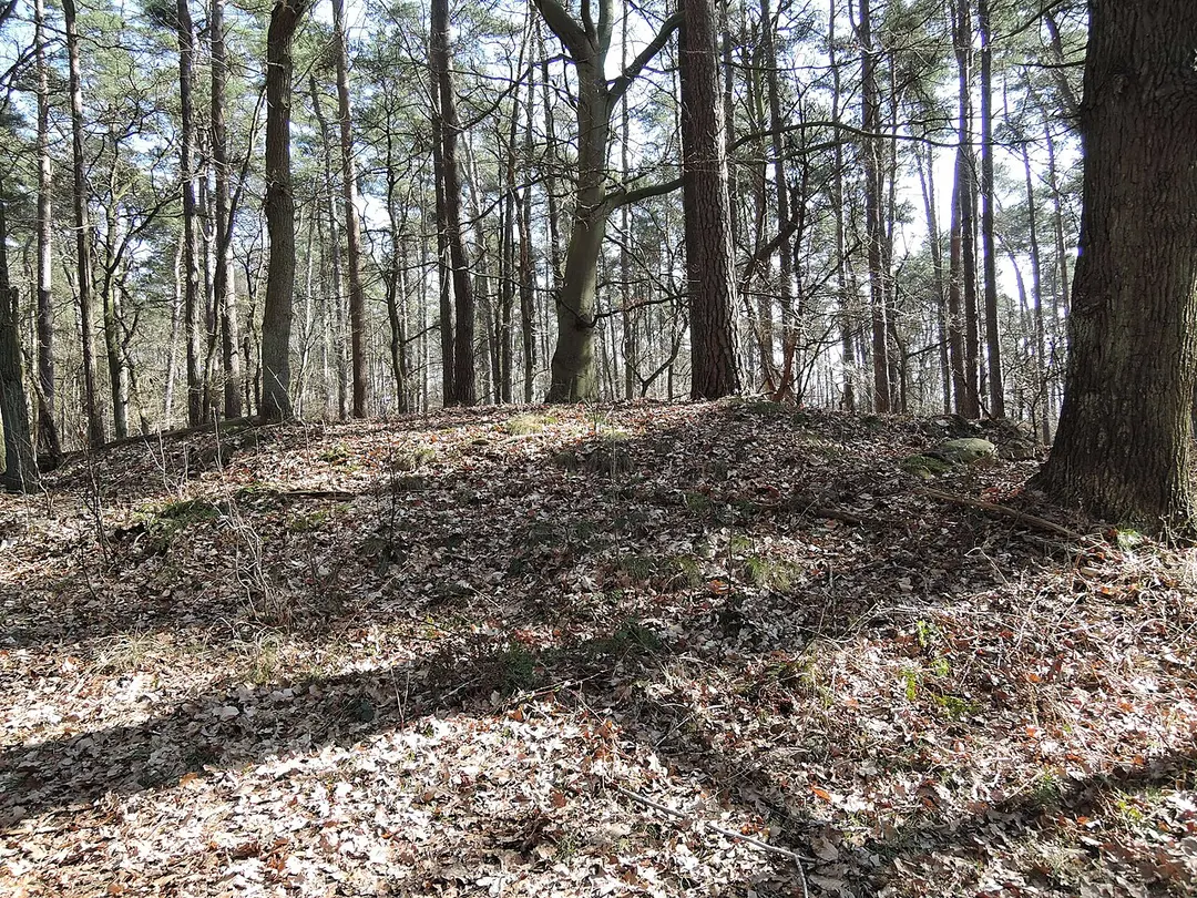 Großsteingrab Labömitz Fpl. 15