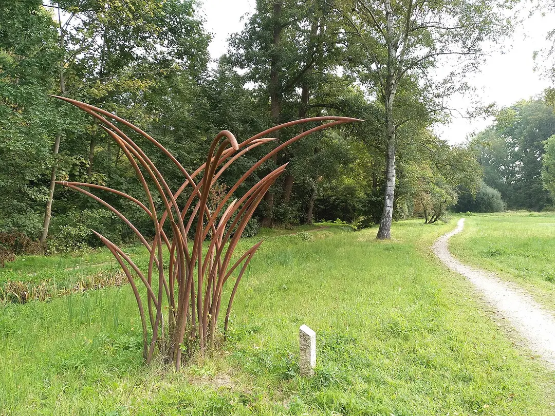 Carex-Segge