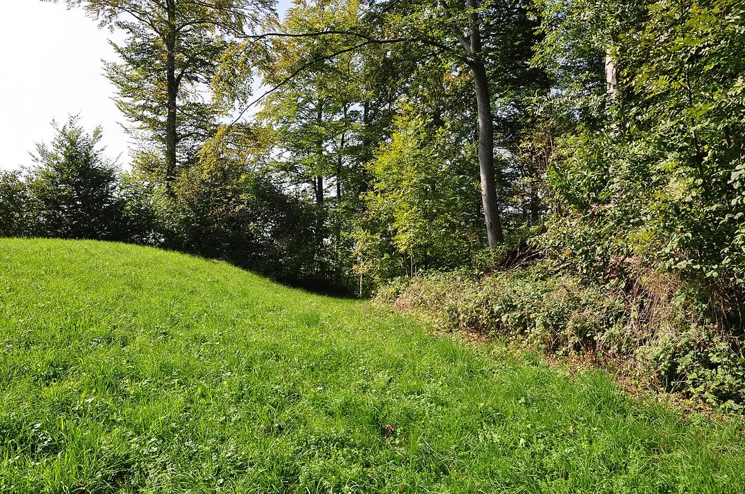 Burgruine Greifenberg