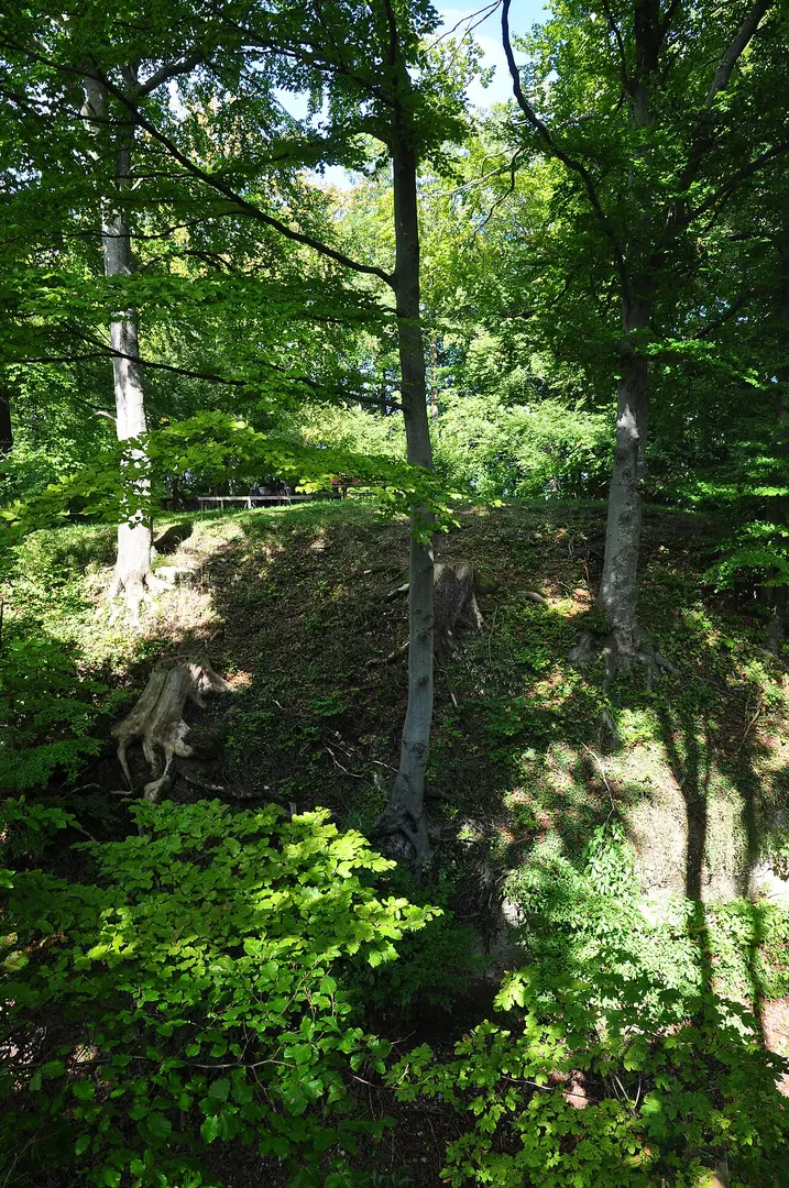 Burgruine Greifenberg
