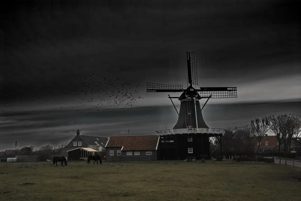 De Verwachting