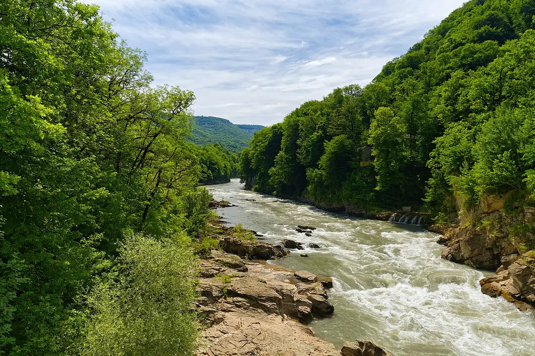 Belaja