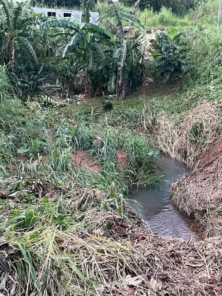 Rivière Moustique