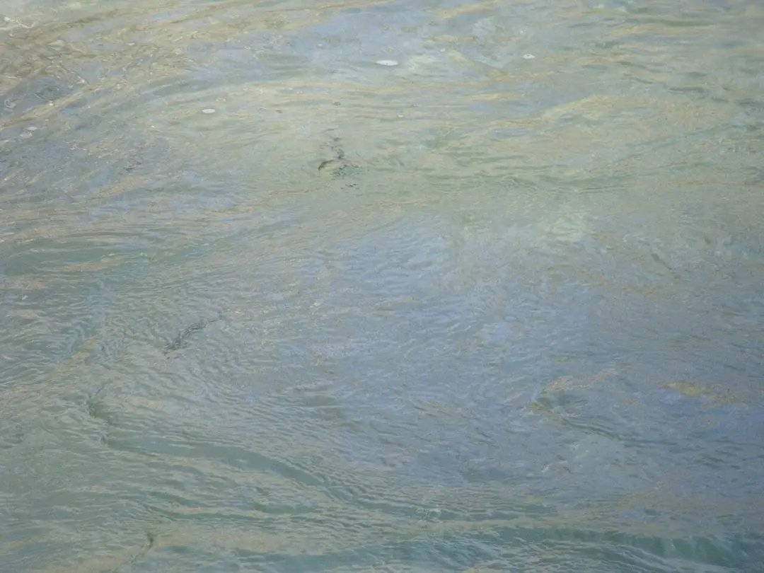 River Mira
