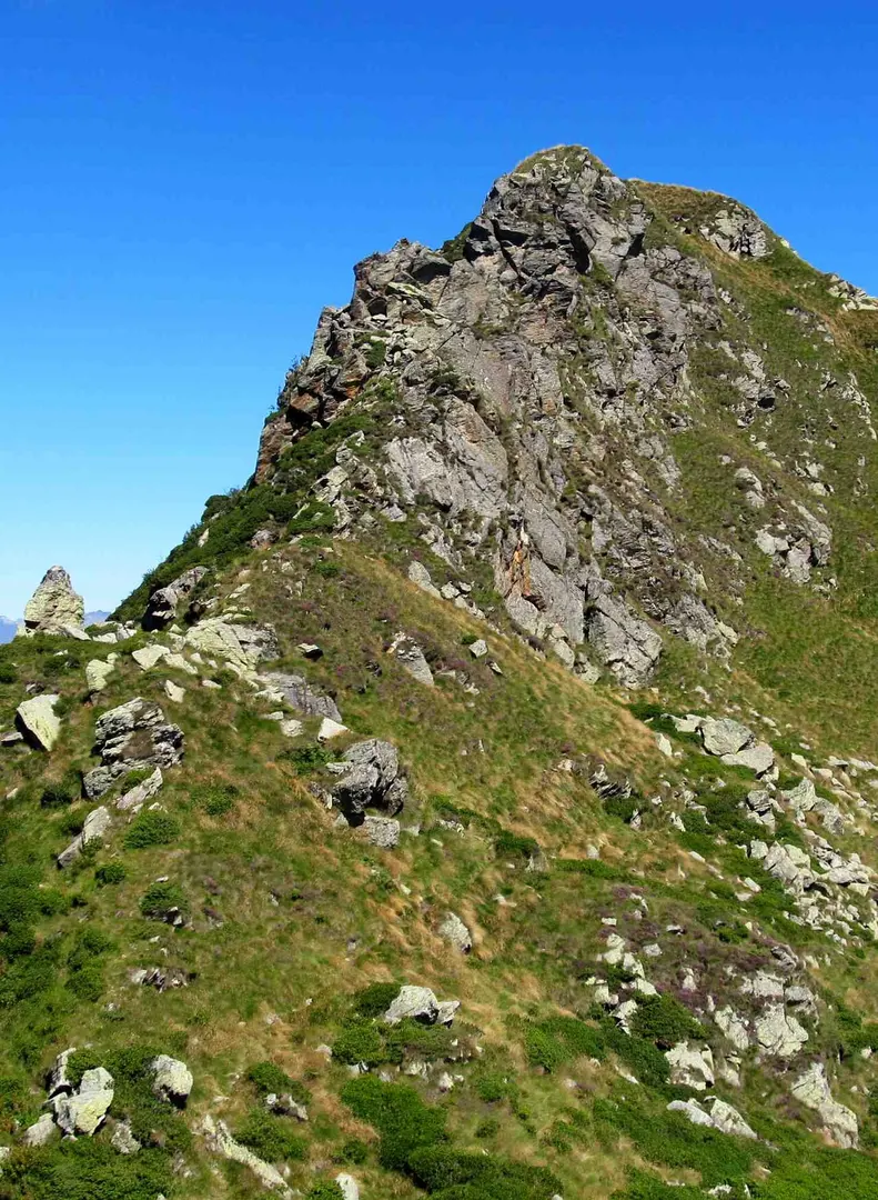 Testone delle Tre Alpi