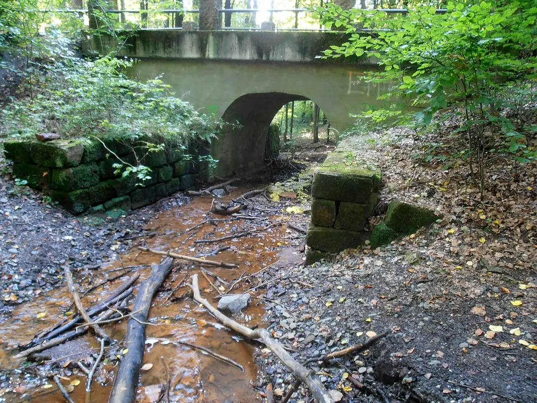 Diebsteig