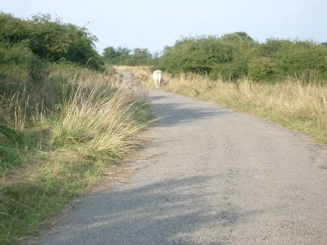 New Buckenham Common - Open Access Land