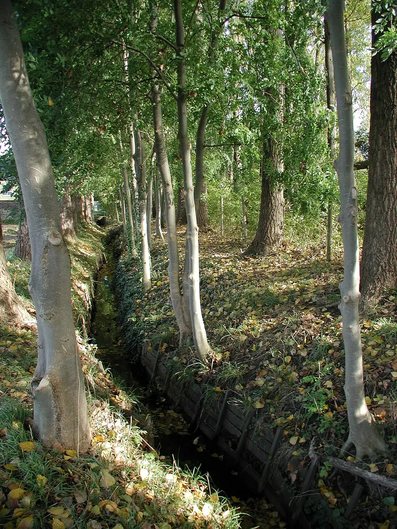 Gleueler Bach