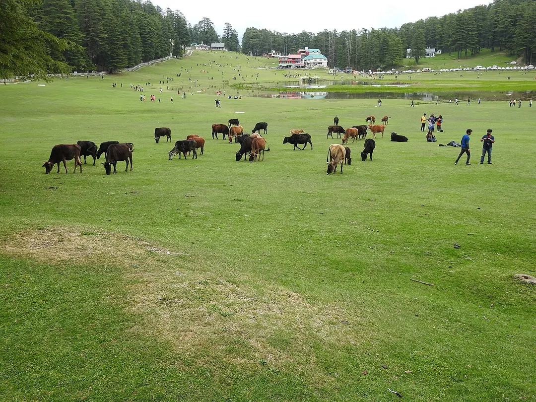 Khajjiar Lake