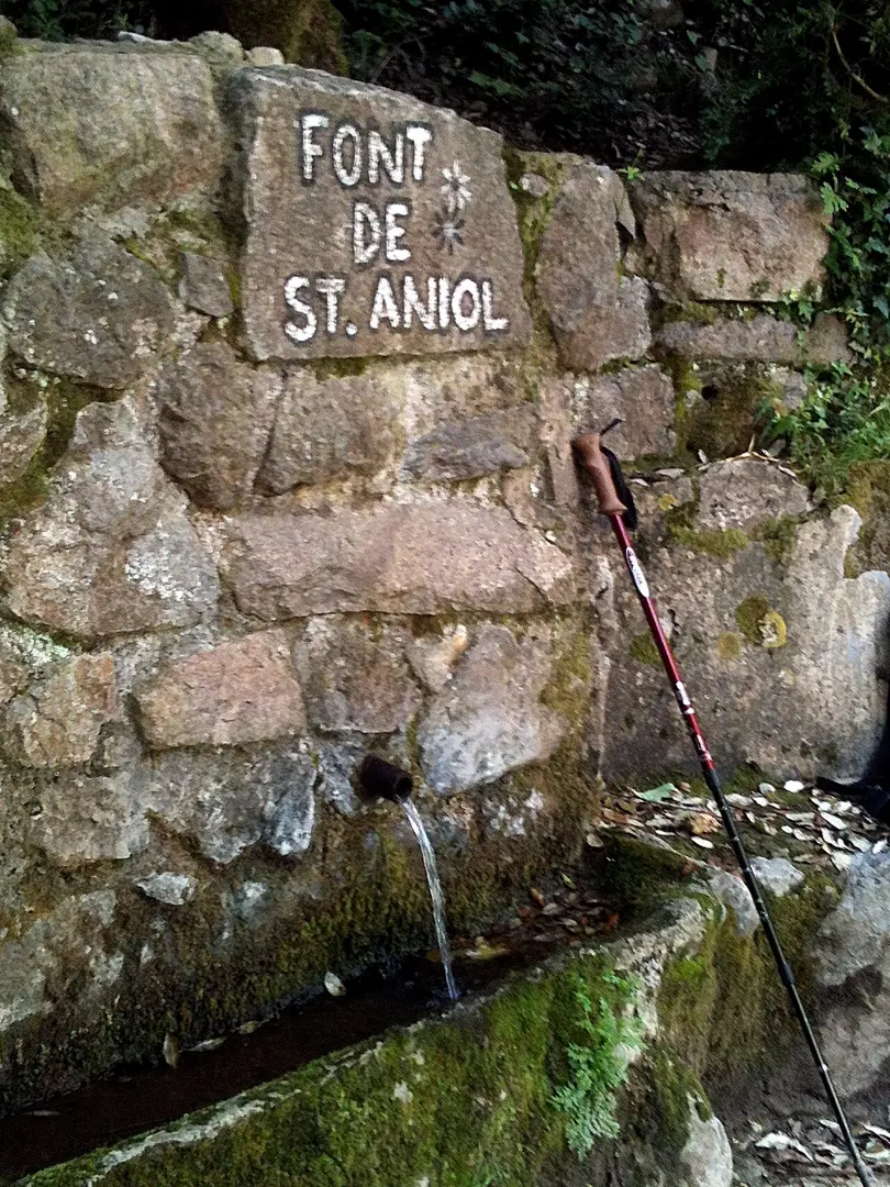 Sant Aniol d'Agulla