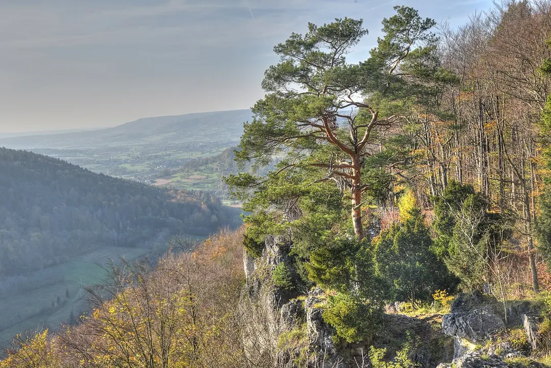 Röthelfels