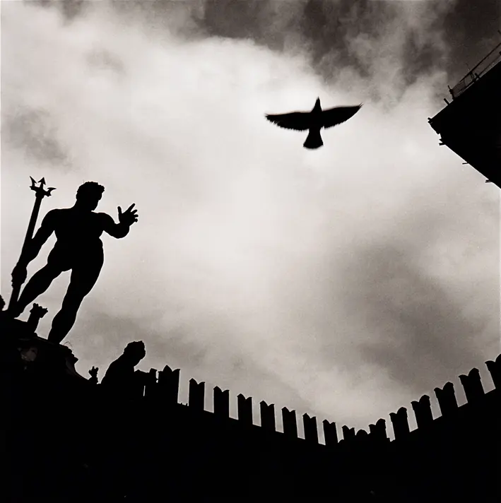 Il Nettuno
