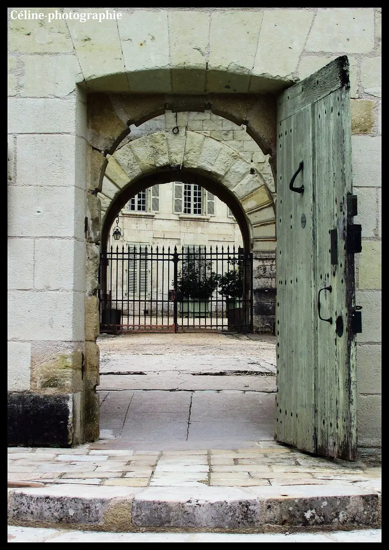 Abbaye Royale de Fontevraud