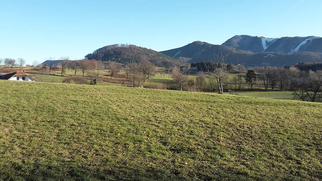 Hohenstein