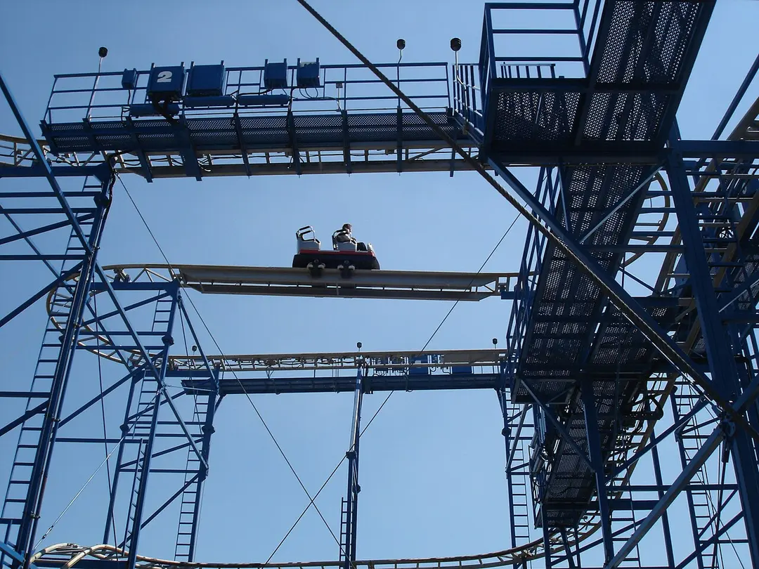 Wild Mouse