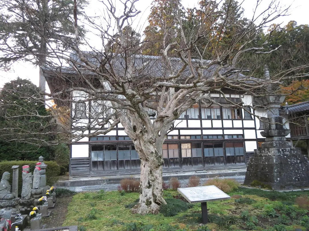 普門寺