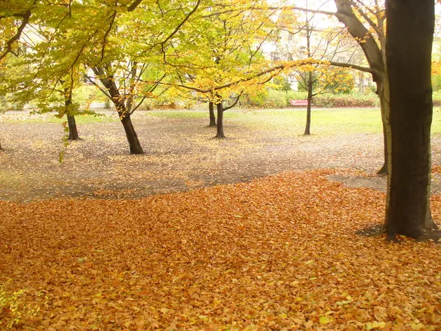 Georg-von-Siemens-Park
