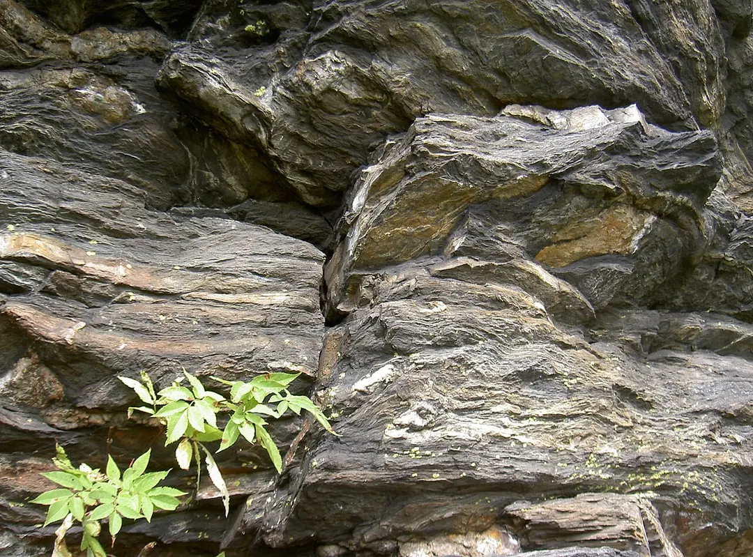 Felsen am Lerchenbühl