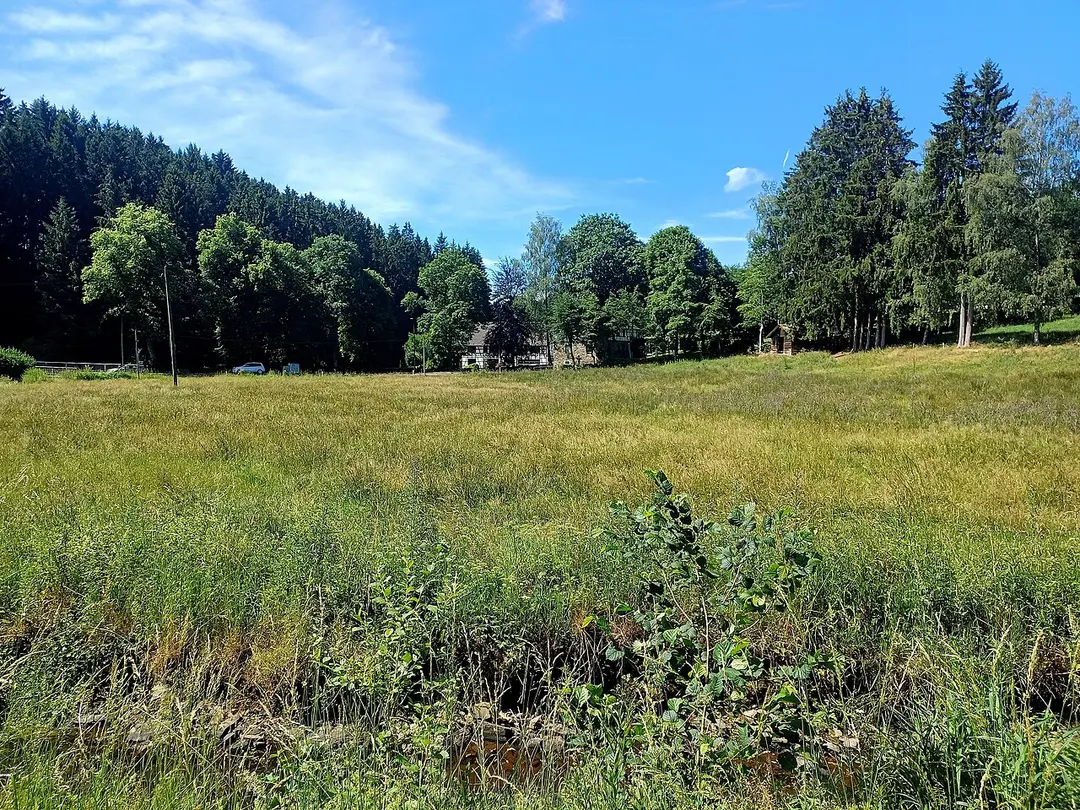 Feuerbach-Laufenbachtal
