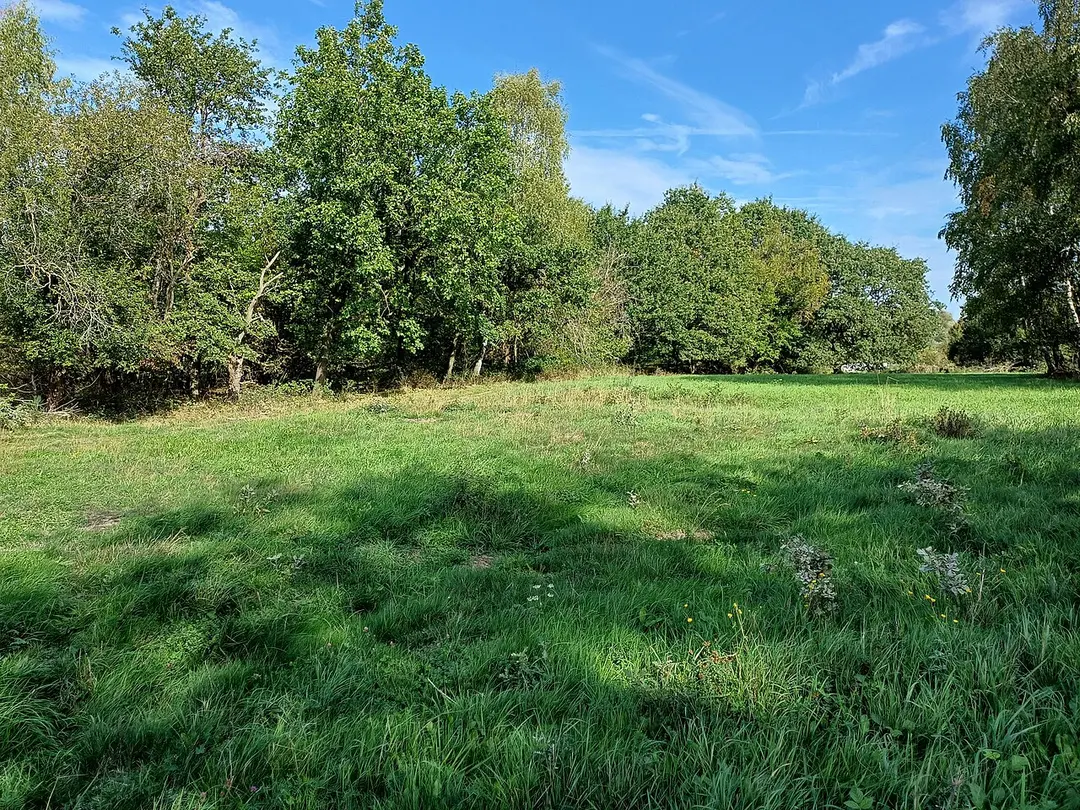 Heidegebiet Steinfurt