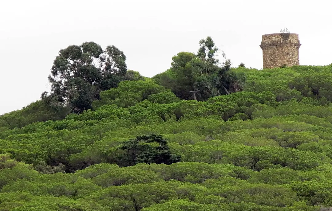 Torre dels Encantats