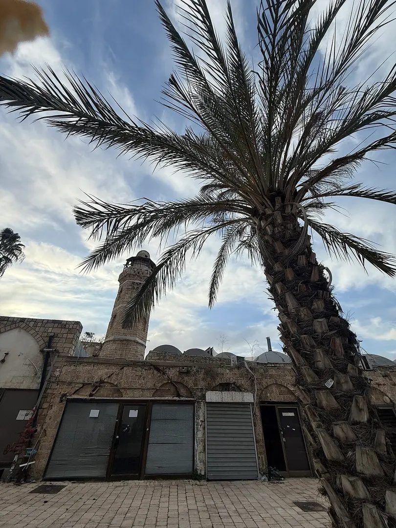 Aschkelon